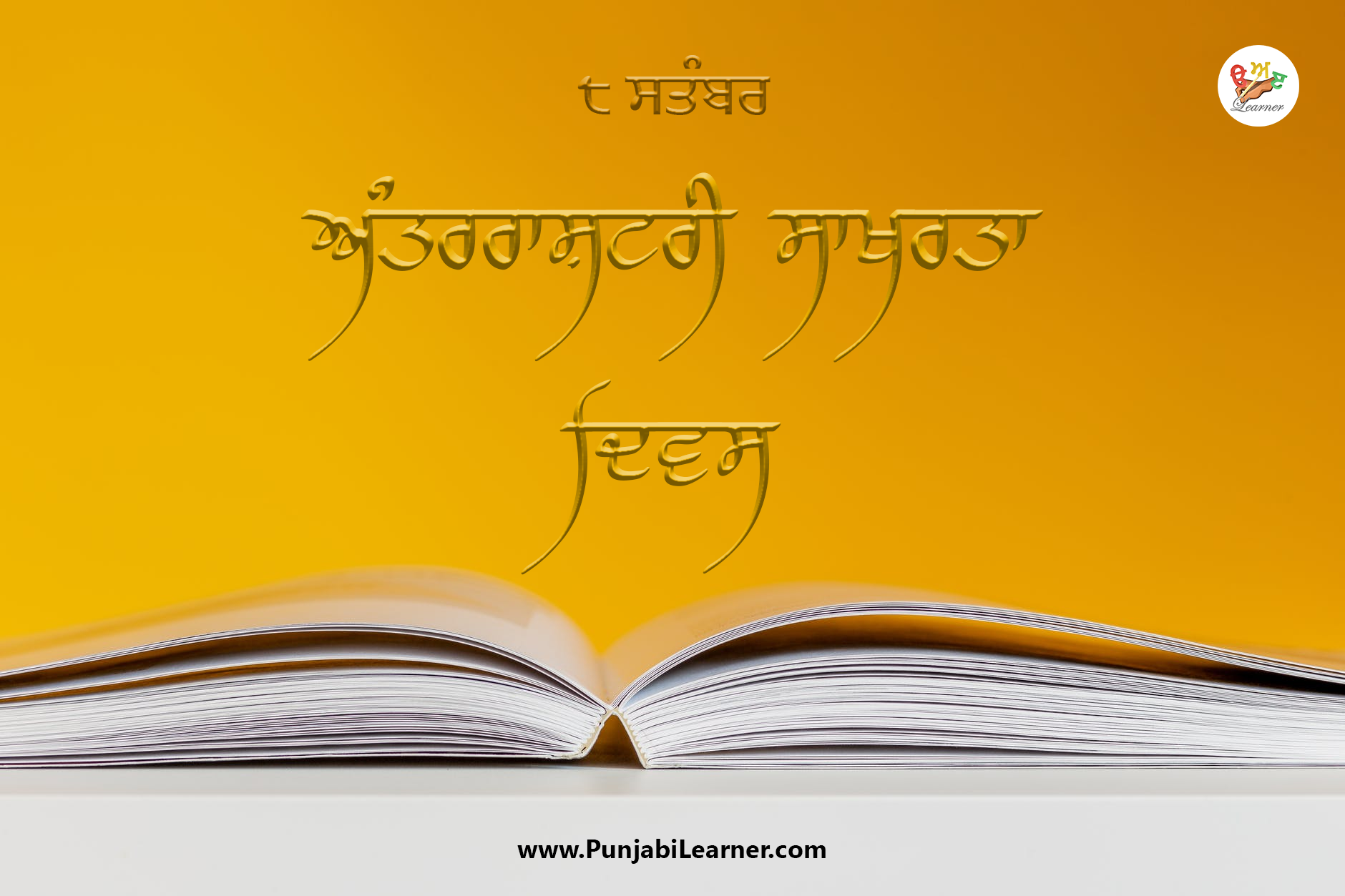 International Literacy Day Punjabi and English Poster PDF
